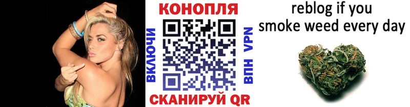 Купить наркоту Шатура КОКАИН  АМФЕТАМИН  Канабис  ГАШИШ 