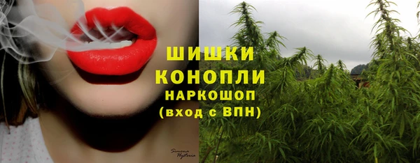 сатива Иннополис