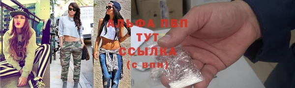 крисы Аркадак