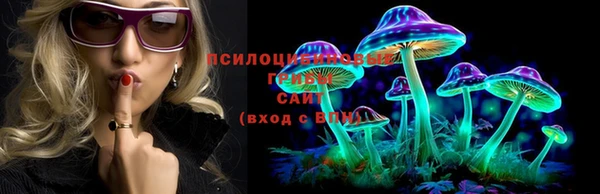 крисы Аркадак
