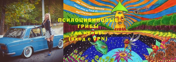 крисы Аркадак