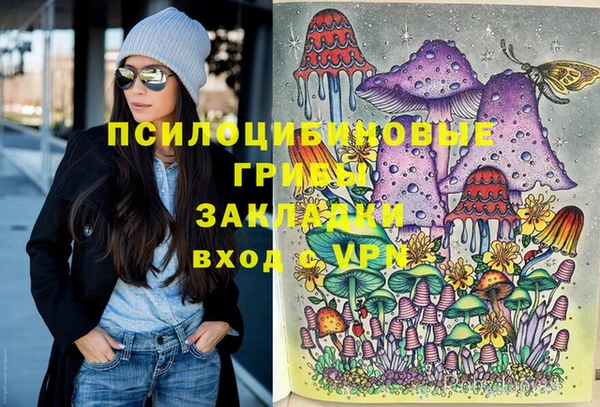 крисы Аркадак