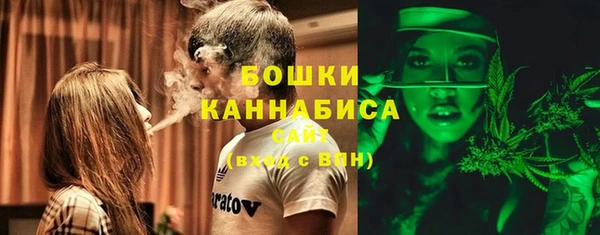 spice Инсар